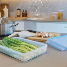 ظرف نگهدارنده با بدنه شیشه ای تفال مدل K3022412 مناسب برای قرار دادن در ماکرویوو و فریزر