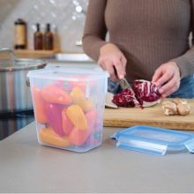 ظرف نگهدارنده غذا با بدنه پلاستیکی مناسب برای فریزر و ماکروفر مدل K3021912